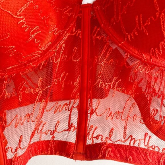 NWT Wolford Spellout Logo Obsessed Bustier Red Lace 38C - Picture 4 of 7